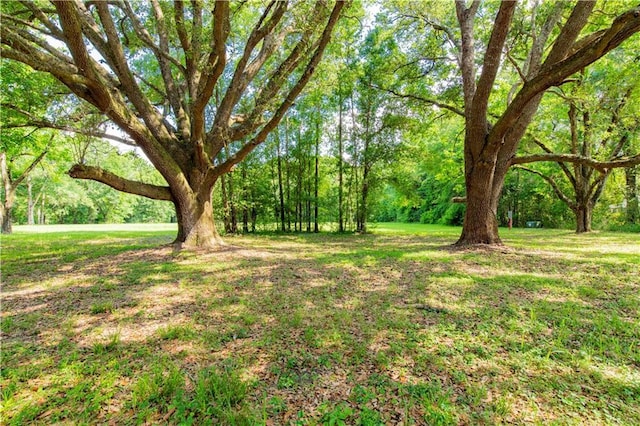 10495 Canyon Dr, Fairhope, AL 36532