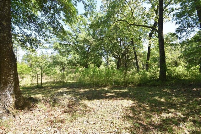 view of nature with a wooded view