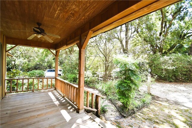 view of yard with an outdoor structure