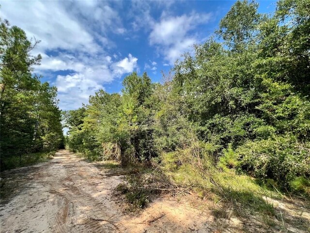 0 Bear Fork Rd, Mobile, AL 36618