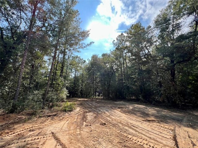 0 Bear Fork Rd, Mobile, AL 36618