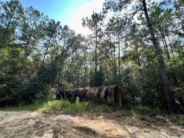 0 Bear Fork Rd, Mobile, AL 36618