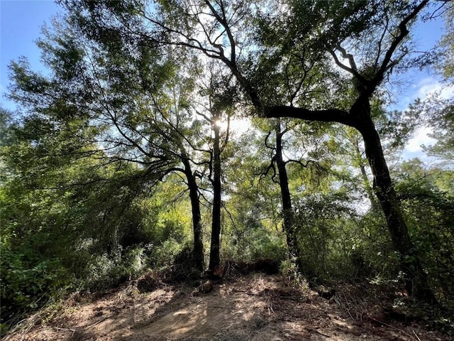 0 Bear Fork Rd, Mobile, AL 36618