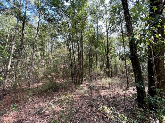 0 Bear Fork Rd, Mobile, AL 36618