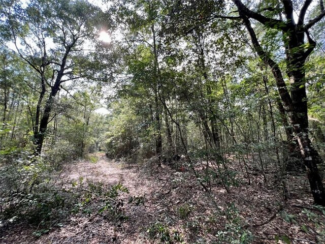 0 Bear Fork Rd, Mobile, AL 36618