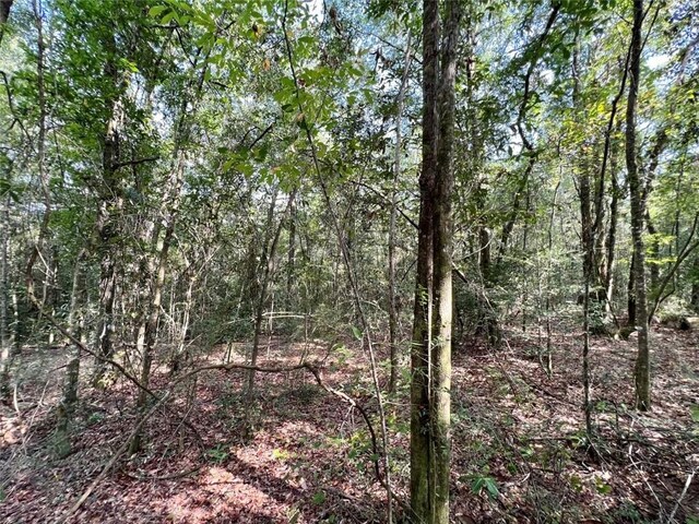 0 Bear Fork Rd, Mobile, AL 36618