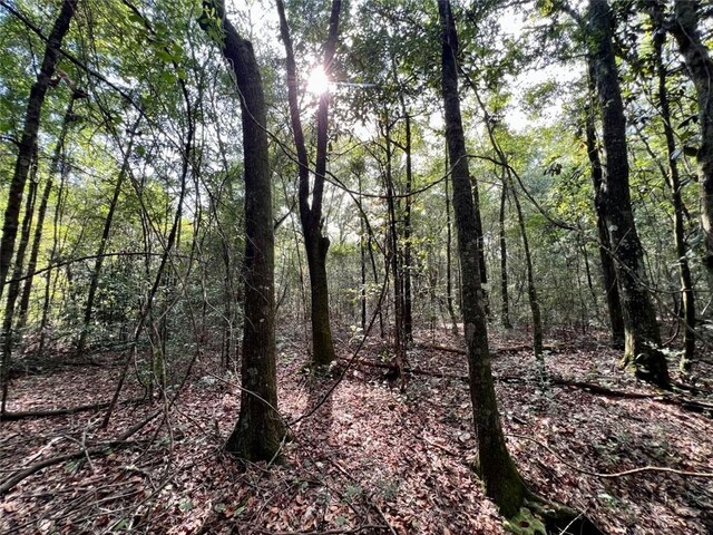 0 Bear Fork Rd, Mobile, AL 36618