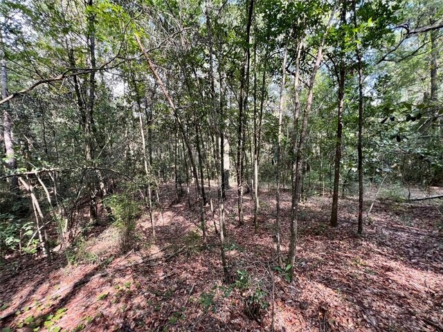 0 Bear Fork Rd, Mobile, AL 36618