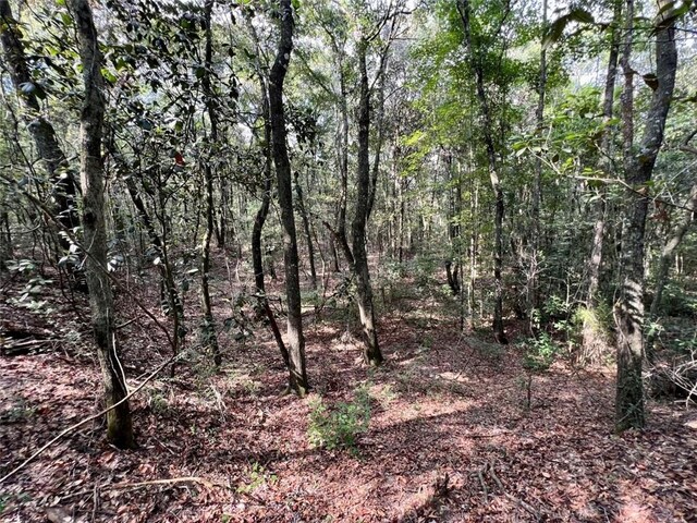 0 Bear Fork Rd, Mobile, AL 36618