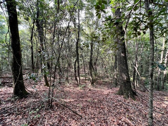 0 Bear Fork Rd, Mobile, AL 36618