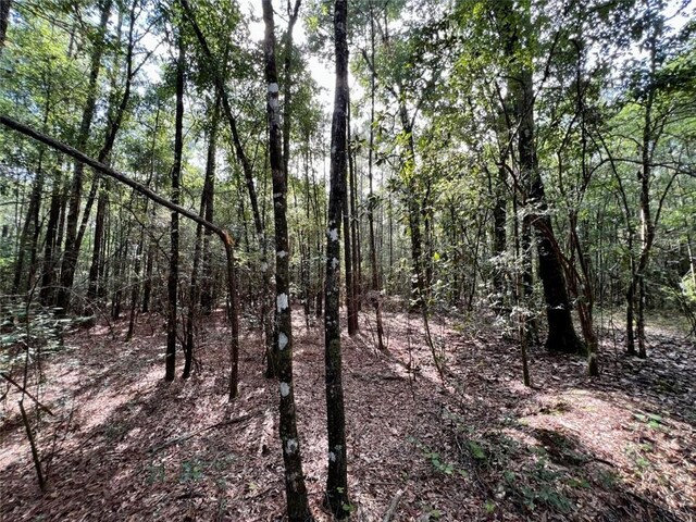 0 Bear Fork Rd, Mobile, AL 36618