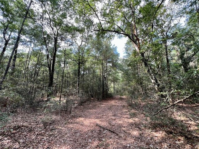0 Bear Fork Rd, Mobile, AL 36618