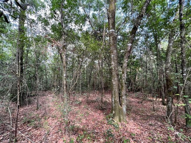 0 Bear Fork Rd, Mobile, AL 36618