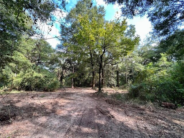 0 Bear Fork Rd, Mobile, AL 36618