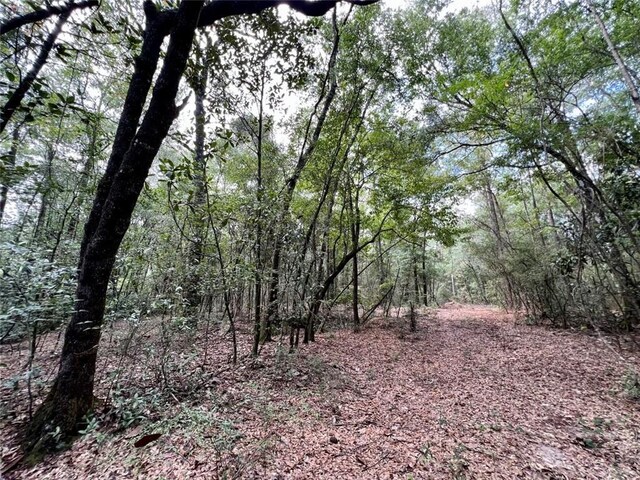 0 Bear Fork Rd, Mobile, AL 36618