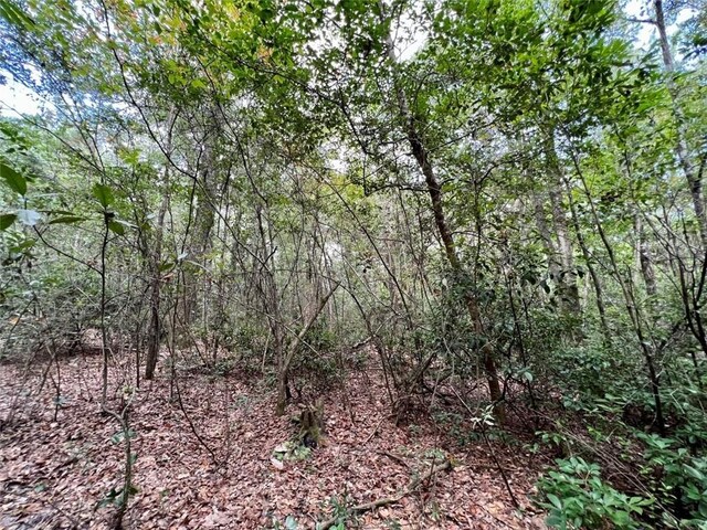 0 Bear Fork Rd, Mobile, AL 36618
