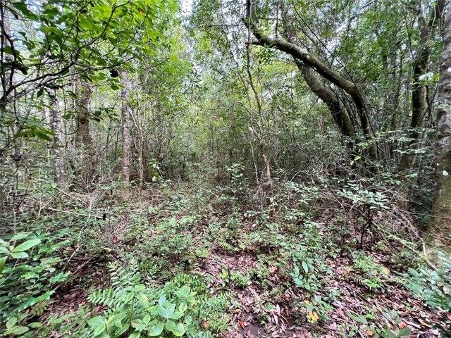 0 Bear Fork Rd, Mobile, AL 36618