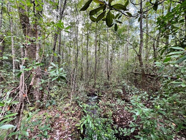 0 Bear Fork Rd, Mobile, AL 36618