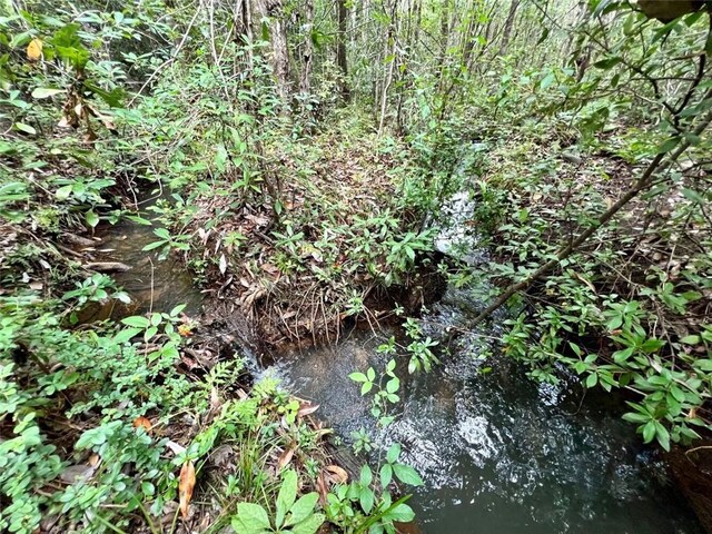 0 Bear Fork Rd, Mobile, AL 36618