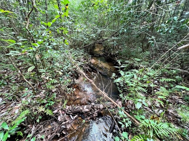 0 Bear Fork Rd, Mobile, AL 36618