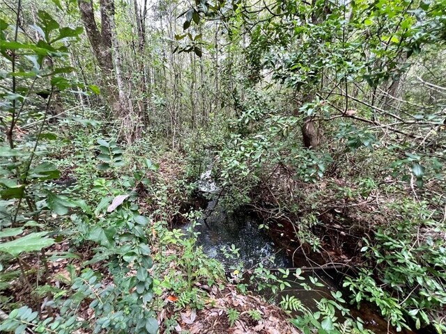 0 Bear Fork Rd, Mobile, AL 36618