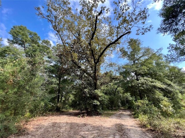 0 Bear Fork Rd, Mobile, AL 36618