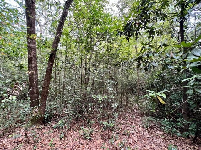 0 Bear Fork Rd, Mobile, AL 36618