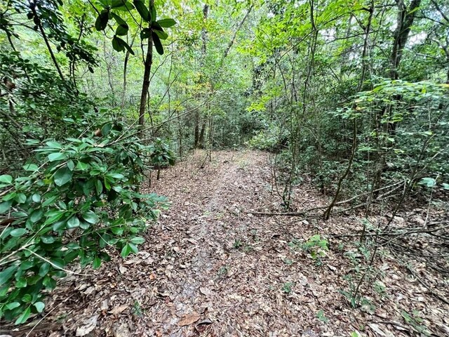 0 Bear Fork Rd, Mobile, AL 36618