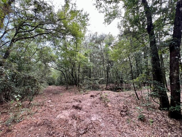 0 Bear Fork Rd, Mobile, AL 36618