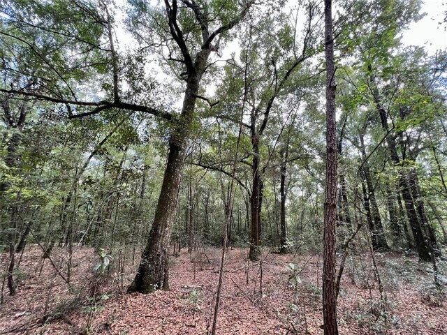 0 Bear Fork Rd, Mobile, AL 36618