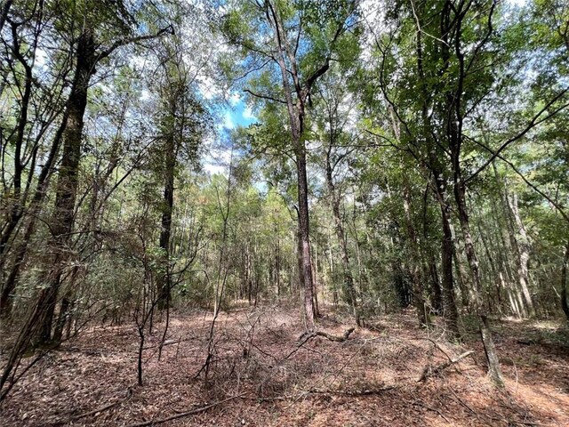 0 Bear Fork Rd, Mobile, AL 36618