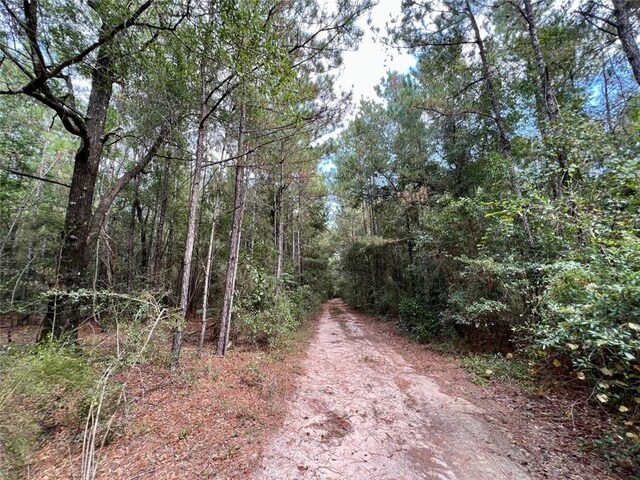 0 Bear Fork Rd, Mobile, AL 36618