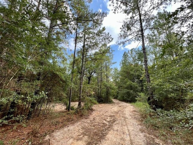 0 Bear Fork Rd, Mobile, AL 36618