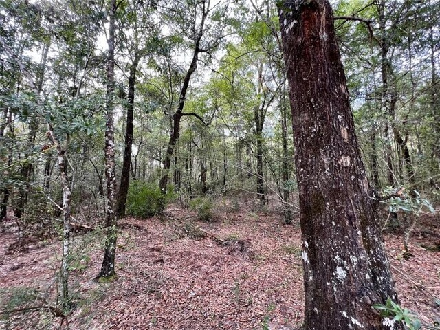 0 Bear Fork Rd, Mobile, AL 36618