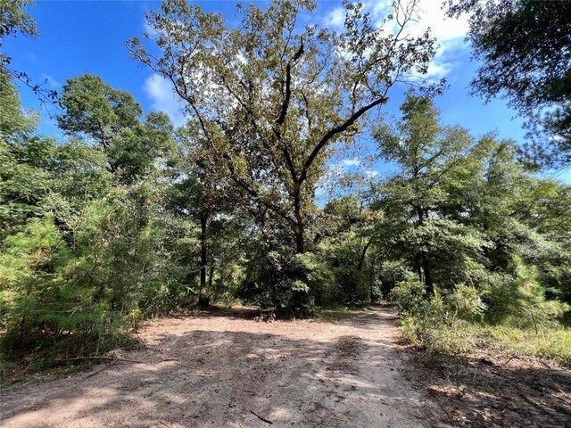 0 Bear Fork Rd, Mobile, AL 36618