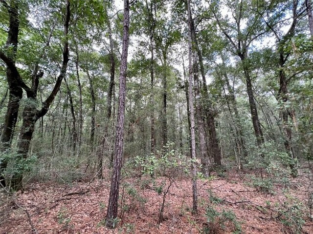 0 Bear Fork Rd, Mobile, AL 36618