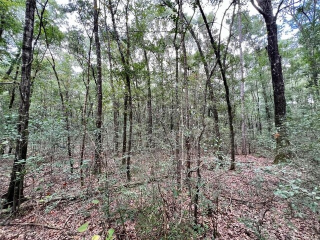 0 Bear Fork Rd, Mobile, AL 36618