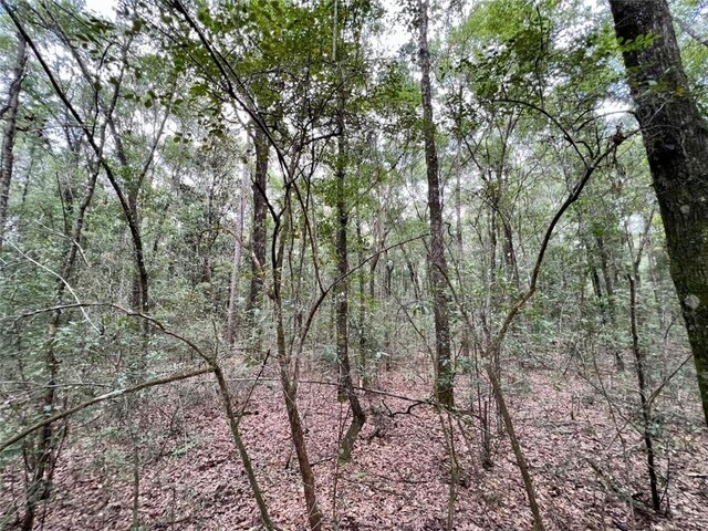 0 Bear Fork Rd, Mobile, AL 36618