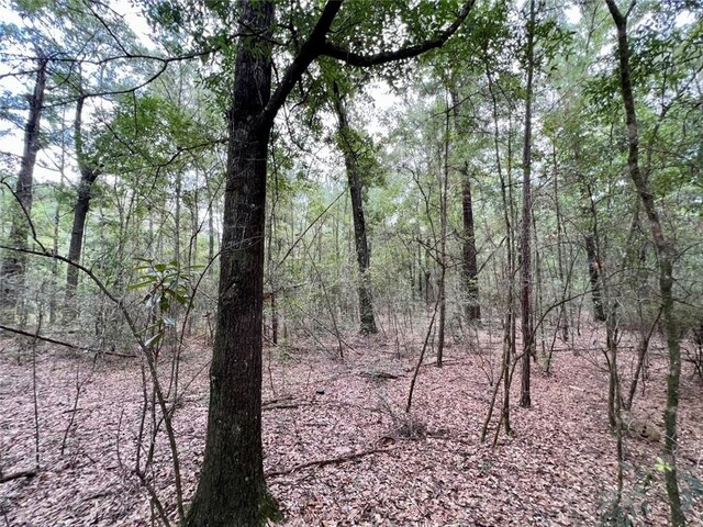 0 Bear Fork Rd, Mobile, AL 36618