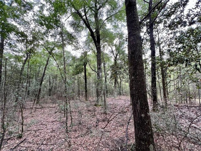 0 Bear Fork Rd, Mobile, AL 36618