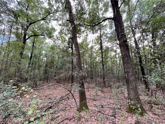 0 Bear Fork Rd, Mobile, AL 36618