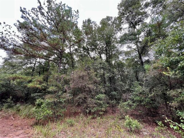 0 Bear Fork Rd, Mobile, AL 36618