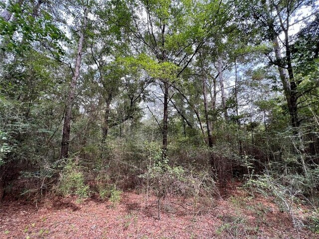0 Bear Fork Rd, Mobile, AL 36618