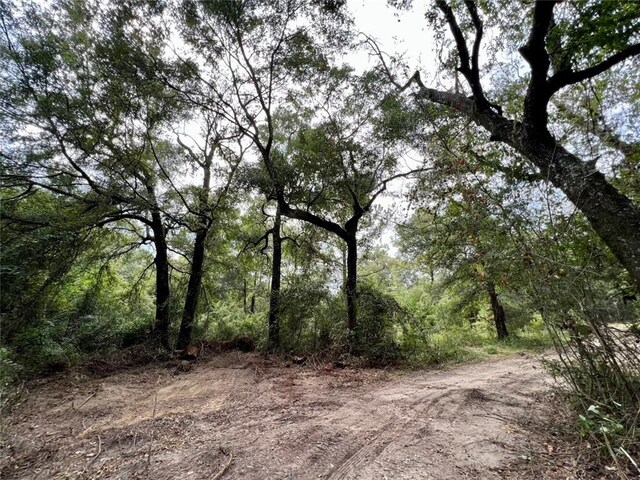 0 Bear Fork Rd, Mobile, AL 36618