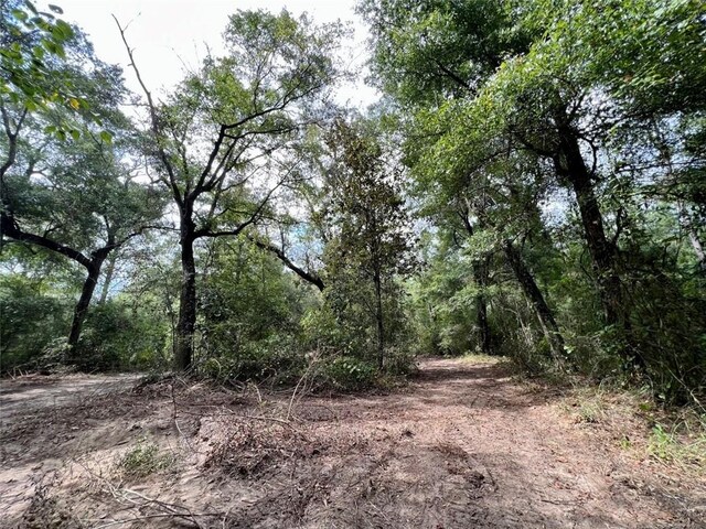 0 Bear Fork Rd, Mobile, AL 36618