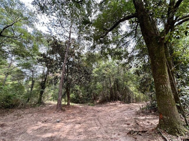 0 Bear Fork Rd, Mobile, AL 36618
