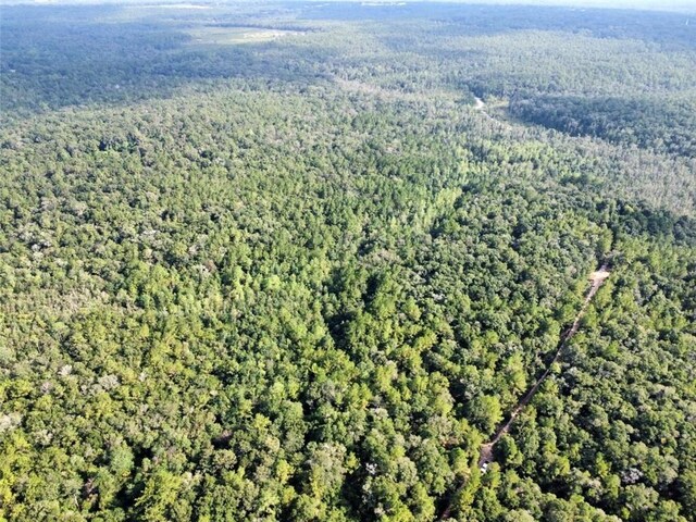 0 Bear Fork Rd, Mobile, AL 36618