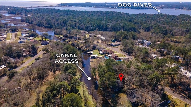 aerial view with a water view and a view of trees