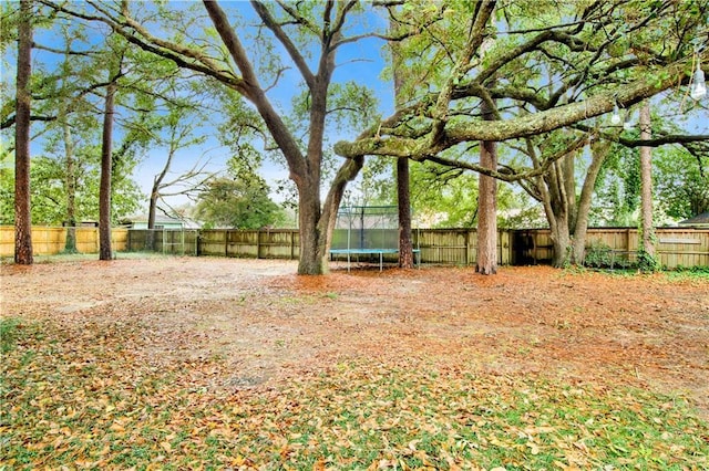 view of yard with a trampoline and a fenced backyard