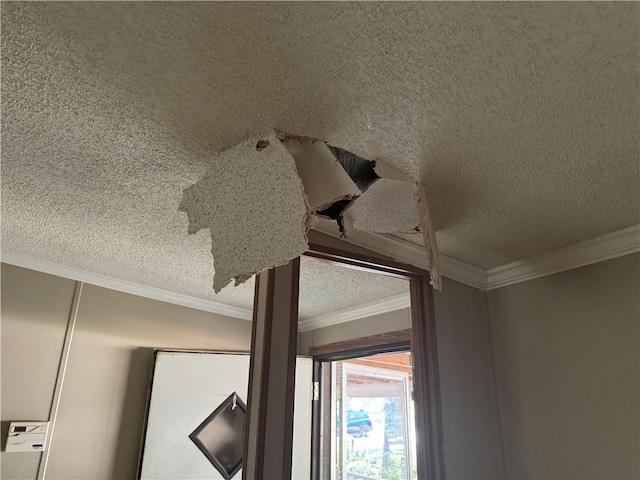 interior details with crown molding and a textured ceiling